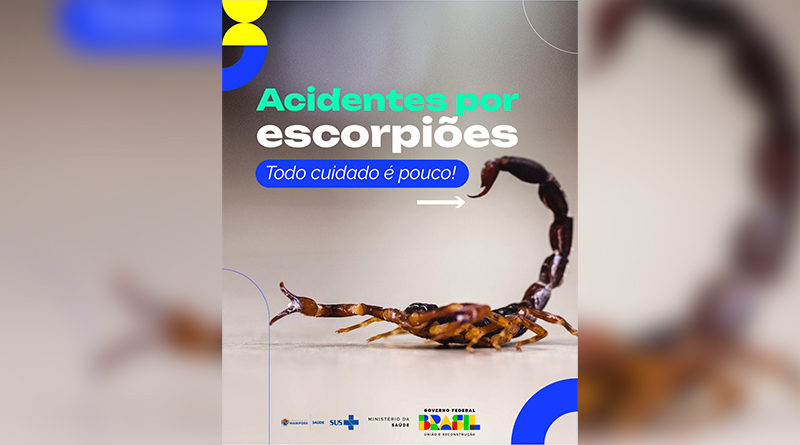 Prefeitura alerta sobre cuidados para evitar acidentes com escorpiões