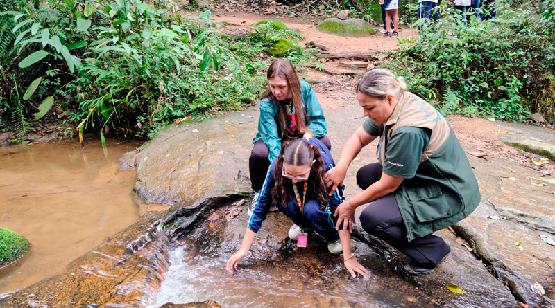 Semana do Meio Ambiente 2025 em Mairiporã tem semana repleta de ações educativas com crianças e distribuição de mudas nativas